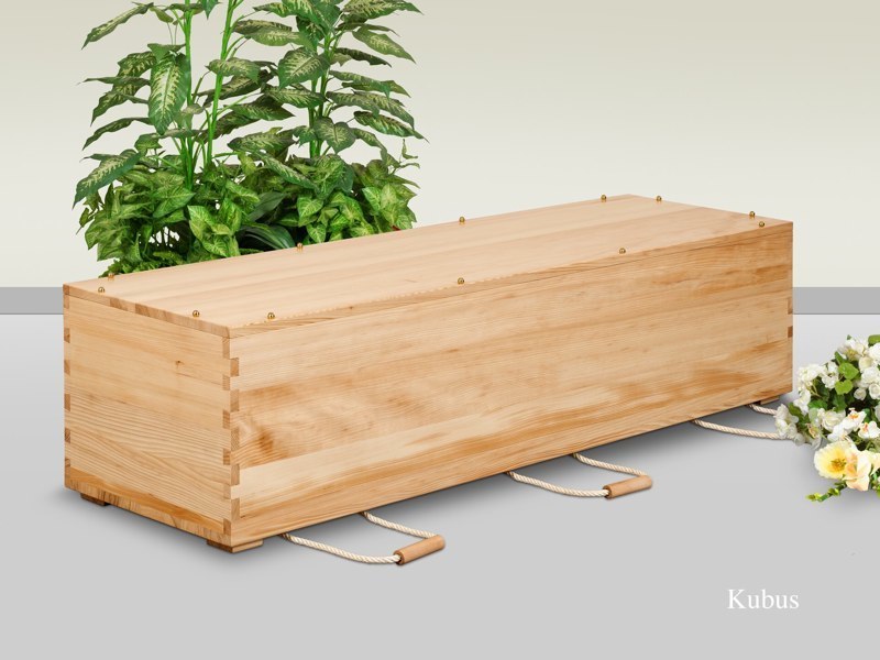 Produktfoto Sargmodell Kubus Tanne